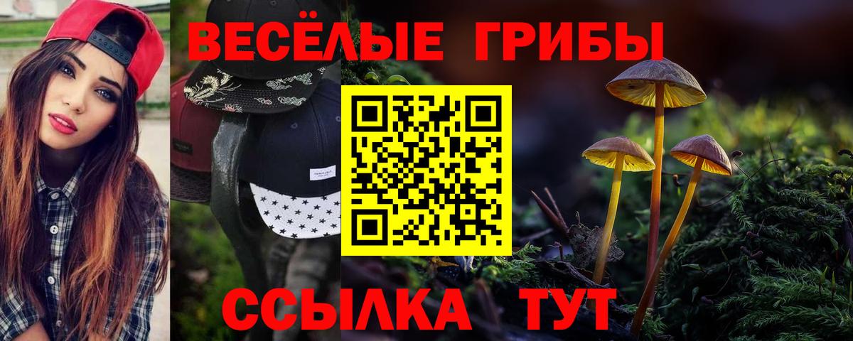 Гагарин  продажа наркотиков  Вход с VPN  Псилоцибиновые грибы GOLDEN TEACHER  Псилоцибиновые грибы ЛСД 