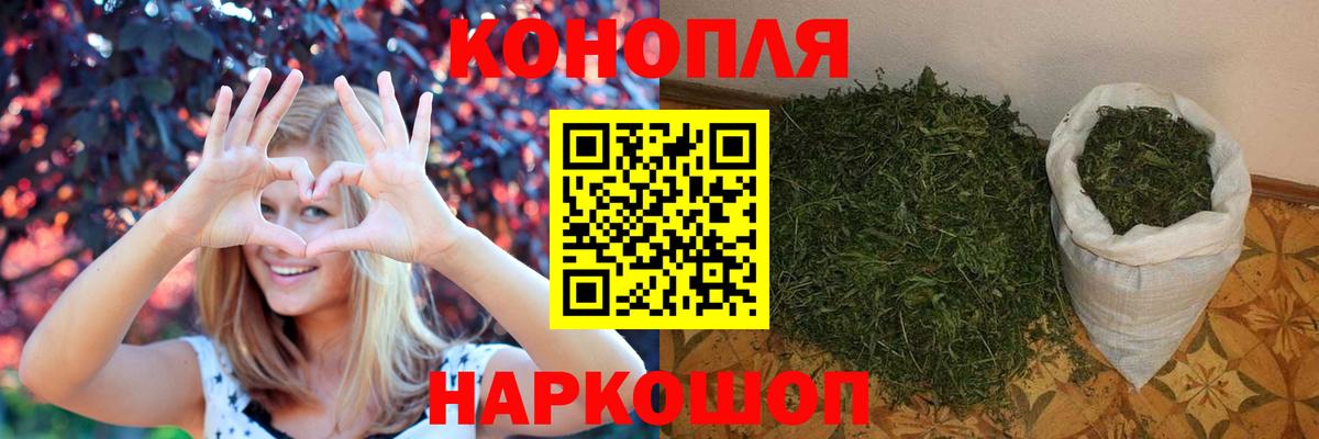 Псилоцибиновые грибы Гагарин